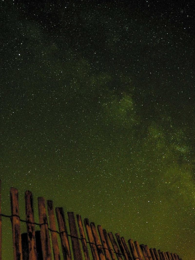 Essential Ribbed Tank